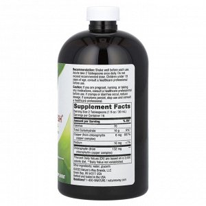 Nature&#039;s Way, Chlorofresh, жидкий хлорофилл, без добавок, 132 мг, 480 мл (16 жидк. унций)