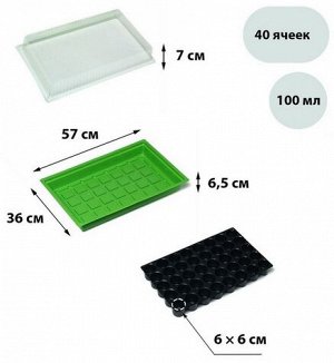 Набор МиниПарник Greengo 3шт Арт-1986208 с Крышкой 40ячеек 570*360*80мм