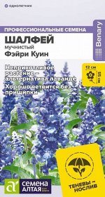 Шалфей Фэйри Куин мучнистый/Сем Алт/цп 5 шт. НОВИНКА