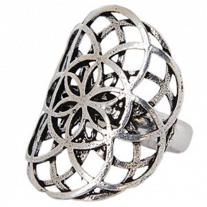 FD0780-500 Кольцо, металл