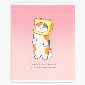 Тетрадь в клетку, 48 л., А5, на скрепке, блок №1 «Котик с лапками» МИКС