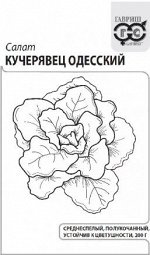 Салат Кучерявец Одесский 0,5 гр