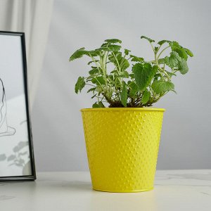 INBLOOM Кашпо 14x13см, металл, 2 цвета
