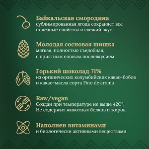 Таёжный шоколад Шишка сосновая и Смородина. Горький 71% DELICERT, 100 г