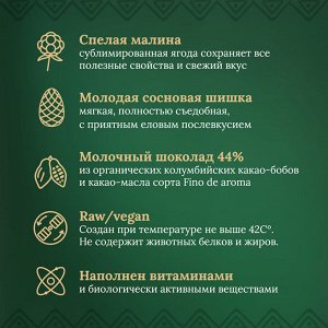 Таёжный шоколад Шишка сосновая и Малина. Молочный 44% DELICERT, 75 г