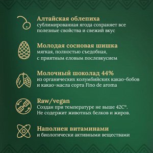 Таёжный шоколад Шишка сосновая и Облепиха. Молочный 44% DELICERT, 100 г