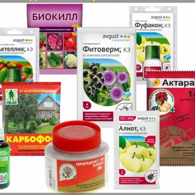 Химия от вредителей, Насекомых, грызунов