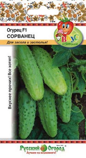 Огурец Сорванец F1 (Вкуснятина) (12шт)