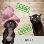 Новинки