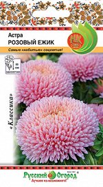 Цветы Астра Розовый ежик (50шт)