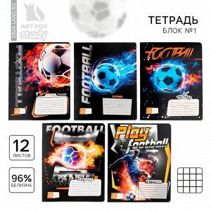Тетрадь в клетку 12 листов А5, на скрепке «Футбол», обложка мелованный картон, блок №1 белизна 96%, 5 видов МИКС