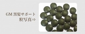 Algae GM Black Hair Support - комплекс для поддержания здоровья волос и замедления процесса появления седины