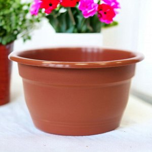 Новый бренд Цветочный горшок &quot;Флора&quot;, объем 0,15 л, без поддона, цвет терракотовый