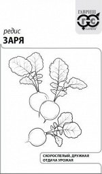 Редис Заря 3г