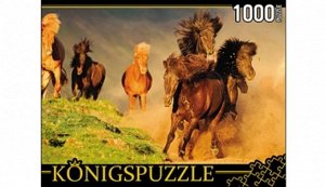 211767--Пазлы 1000  Табун лошадей