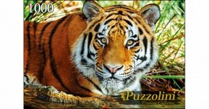 Пазлы 1000 Амурский тигр 33,5*23*4см.