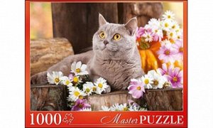 218293--Пазлы 1000 Красивый Британский кот