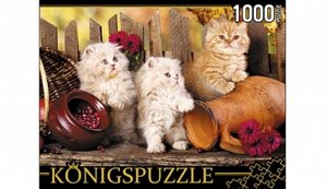 Пазлы 1000 Персидские котята