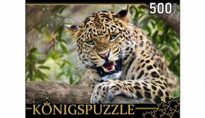 Пазлы 500 Дальневосточный леопард