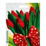 Пакет полиэтиленовый с вырубной ручкой &quot;Примавера&quot; 31*40 см.