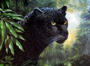 150826--Роспись по номерам Черная пантера 30*40 см.