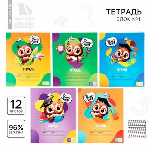 Тетрадь в частую косую линейку 12 листов А5, на скрепке «Учись на 5+», обложка мелованный картон, блок №1, 5 видов МИКС
