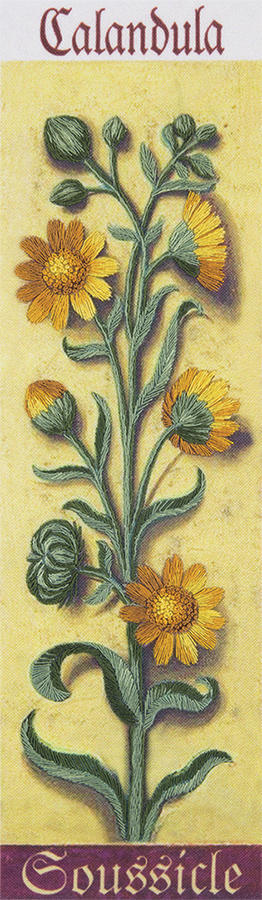 Набор для вышивания PANNA 'Живая картина' арт. ЖК-2120 Ботаника. Календула 7х24,5 см