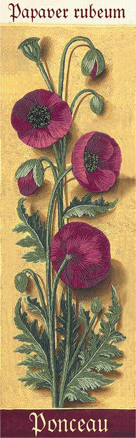 Набор для вышивания PANNA 'Живая картина' арт. ЖК-2121 Ботаника. Маки 7х24,5 см