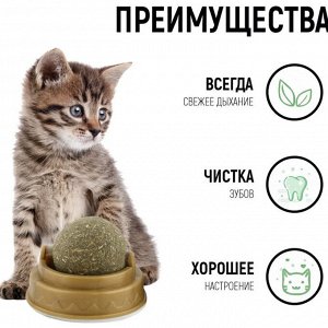 Potti Кошачья мята