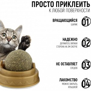 Potti Кошачья мята