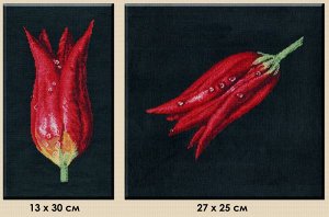 Набор для вышивания ОВЕН арт. 491 Тюльпаны-диптих 27х25 см