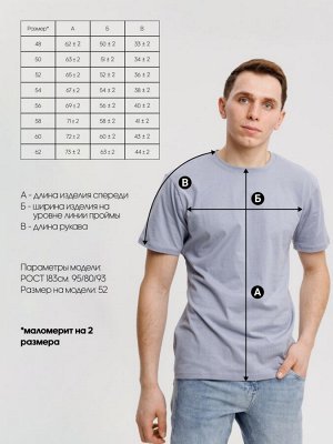Трикотажная футболка серая ВФ-18 (84)