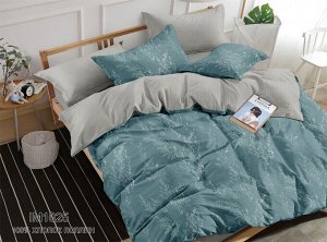 Постельное белье из поплина - П-1020 2 спальный с европростыней
