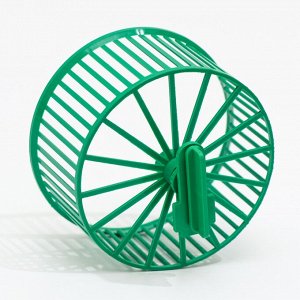 Колесо для грызунов пластиковое, без подставки, 9 см, зеленый микс 7402461