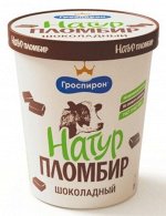 Ведёрко Натур.пломбир шоколад Гроспирон 410г (6)