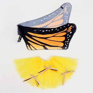 Карнавальный набор «Бабочка», 5-7 лет: юбка, крылья