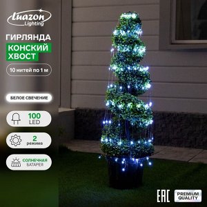 Luazon Lighting Гирлянда «Конский хвост» 10 нитей по 1 м, серебристая нить, 100 LED, свечение белое, 2 режима, солнечная батарея