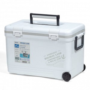 Термобокс SHINWA Holiday Land Cooler 27H белый  /6