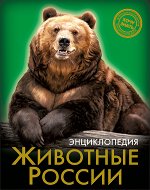 Познавательная литература