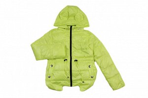Куртка Длина изделия: Куртка (утеплитель:демисезон). Отличный выбор для детского гардероба.