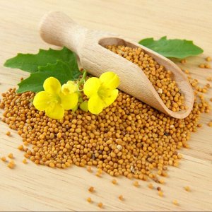 Горчичное семя желтое Spice Expert