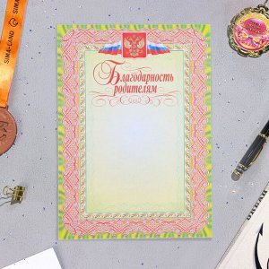 Папка «Портфолио обучающегося в начальной школе», 8 грамот, А4