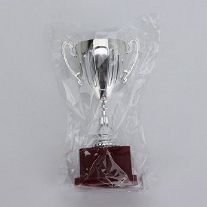 Кубок 045, наградная фигура, серебро, подставка пластик, 20 см