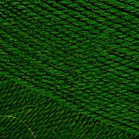 Пряжа для вязания КАМТ 'Лотос' (акрил 100%) 10х100гр/300м цв.110 зеленый