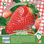 Клубника Альба А 10шт/пучок (Сиб сад)