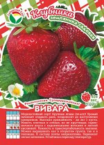 Клубника Вивара 0.8-1.2см 10шт/пучок (Сиб сад)