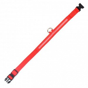 Ошейник с подсветкой размер XL, ОШ 52-60x2.5 см, 3 режима свечения красный