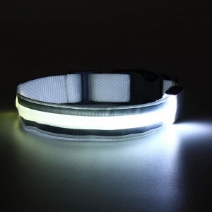 Ошейник с подсветкой Двойная полоса размер XL, ОШ 52-60x2.5 см, 3 режима свечения белый