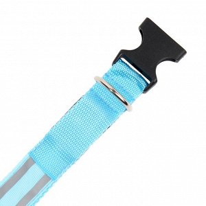 Ошейник с подсветкой Двойная полоса размер XL, ОШ 52-60x2.5 см, 3 режима свечения голубой