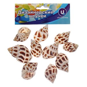 Ракушки декоративные "Морские раковины" 100гр